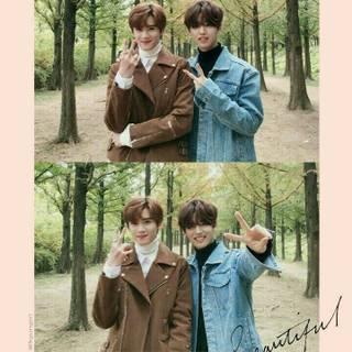 Hongseok Pentagon wallpaper