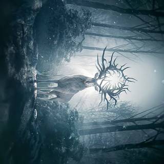 Shadow and Bone wallpaper