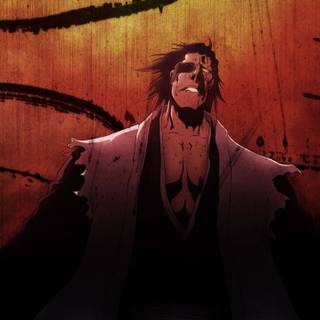 Anime Bleach wallpaper