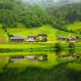 Summer Norway wallpaper