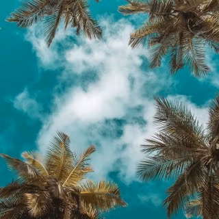 Couple summer wallpaper