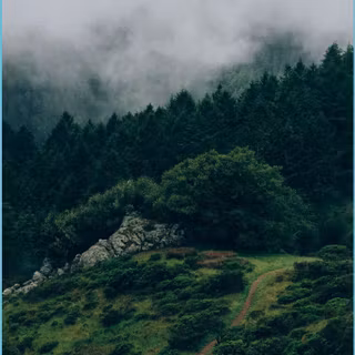 iPhone green nature HD wallpaper