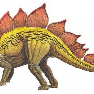 Stegosaurus wallpaper