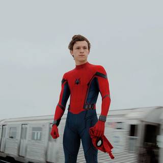 Spider-Man Peter Parker wallpaper