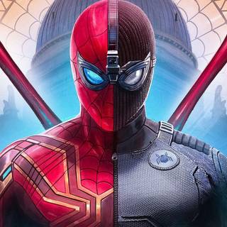 Spider-Man Peter Parker wallpaper