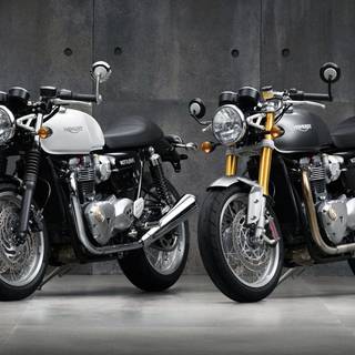 Triumph Thruxton wallpaper