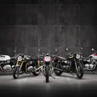Triumph Thruxton wallpaper