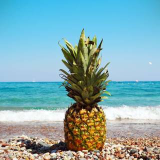 Pinnaple on beach wallpaper