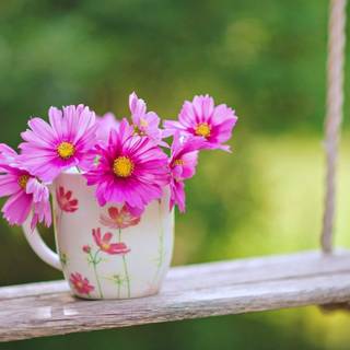 Garden in spring wallpaper