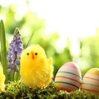Cute Easter desktop wallpaper