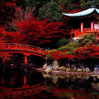 Beautiful Japanese art wallpaper