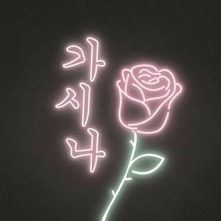 Aesthetic soft grunge wallpaper