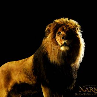 Narnia movie wallpaper