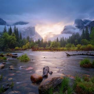 Spring USA wallpaper