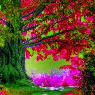 HD spring trees wallpaper