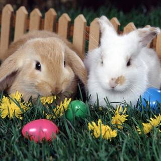 Bunnies with Easter eggs wallpaper