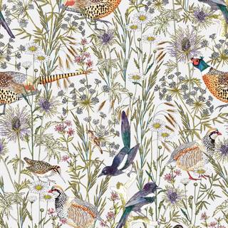 Spring time birds wallpaper