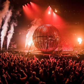 World War Joy wallpaper