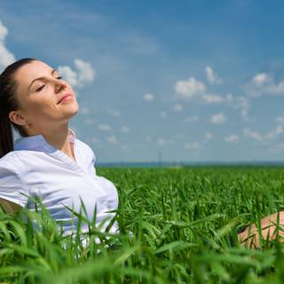 Joyful meadow wallpaper