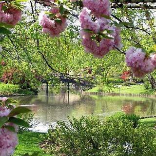 1600x900 spring wallpaper