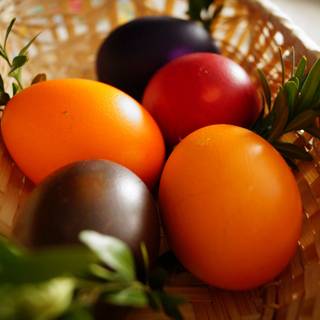 Easter 2048x2048 wallpaper