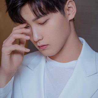 Xing Zhao Lin wallpaper