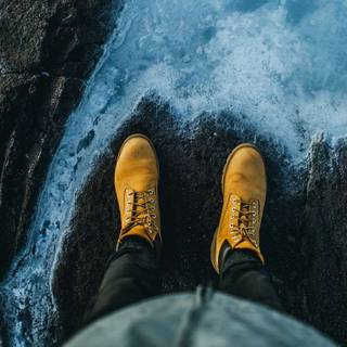 Wilcox Lake Ontario wallpaper