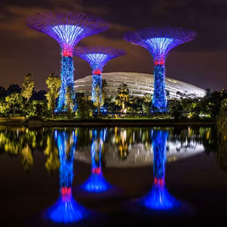 Gardens by the Bay wallpaper