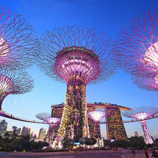 Gardens by the Bay wallpaper
