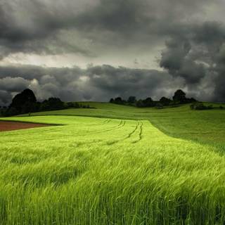 Spring stormy wallpaper