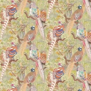 Types of birds wallpaper