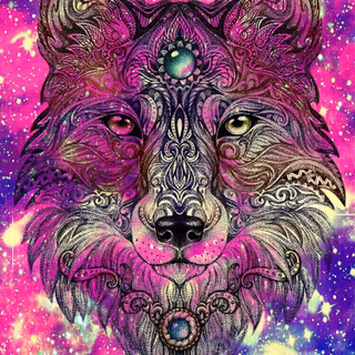 Pink wolf wallpaper