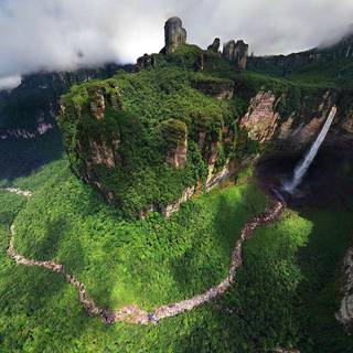 Wild nature wallpaper