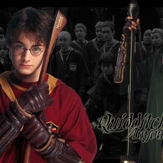 Harry Potter Quidditch wallpaper