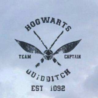 Harry Potter Quidditch wallpaper