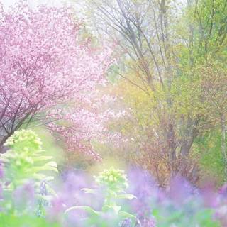 Spring pastels wallpaper