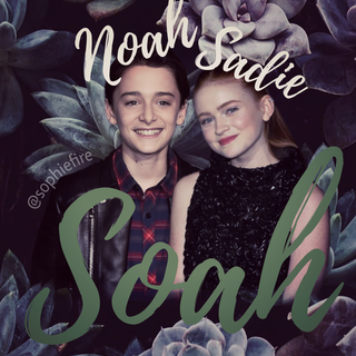 Noah Schnapp and Sadie Sink wallpaper