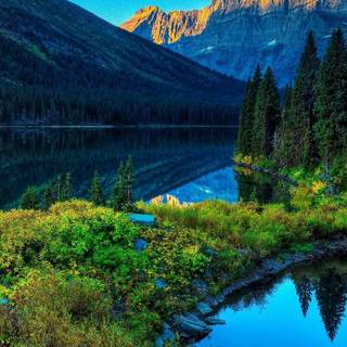 Spring landscape iPhone wallpaper