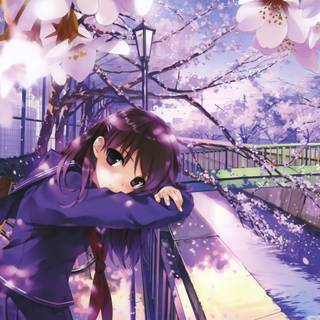 PC spring anime wallpaper