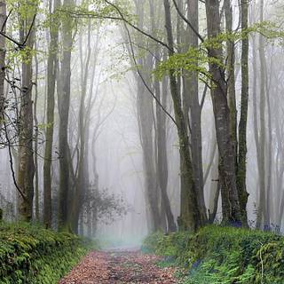 Spring 3440x1440 wallpaper