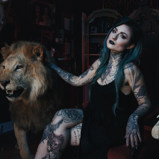 Ryan Ashley Malarkey wallpaper