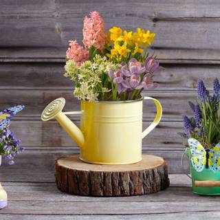 1920x1080 spring flowers wallpaper