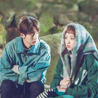 Nam Joo Hyuk and Lee Sung Kyung wallpaper
