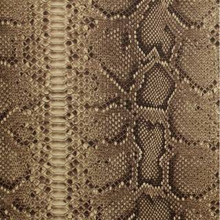 Snakeskin wallpaper