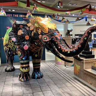 Holi elephant wallpaper