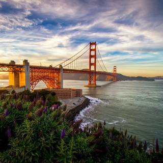 Spring California wallpaper