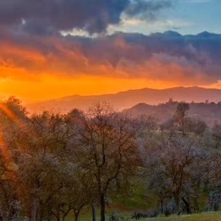 Spring California wallpaper