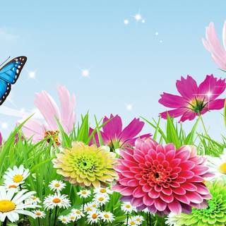Butterflies and spring wallpaper