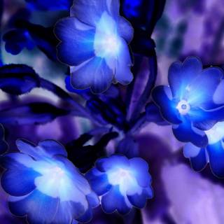 Spring Avatar wallpaper