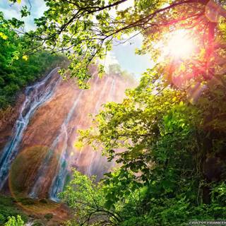 Sunny spring nature wallpaper